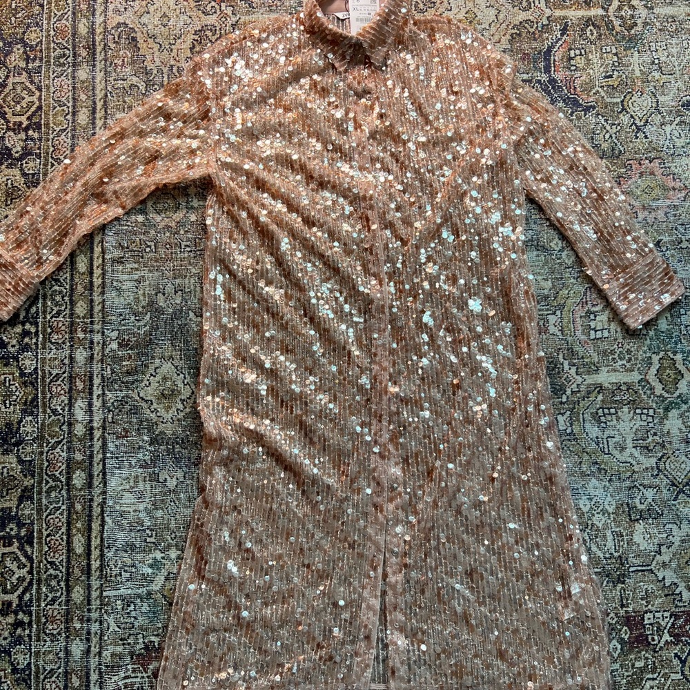 COPY - COPY - Zara Sequined Long Shirt